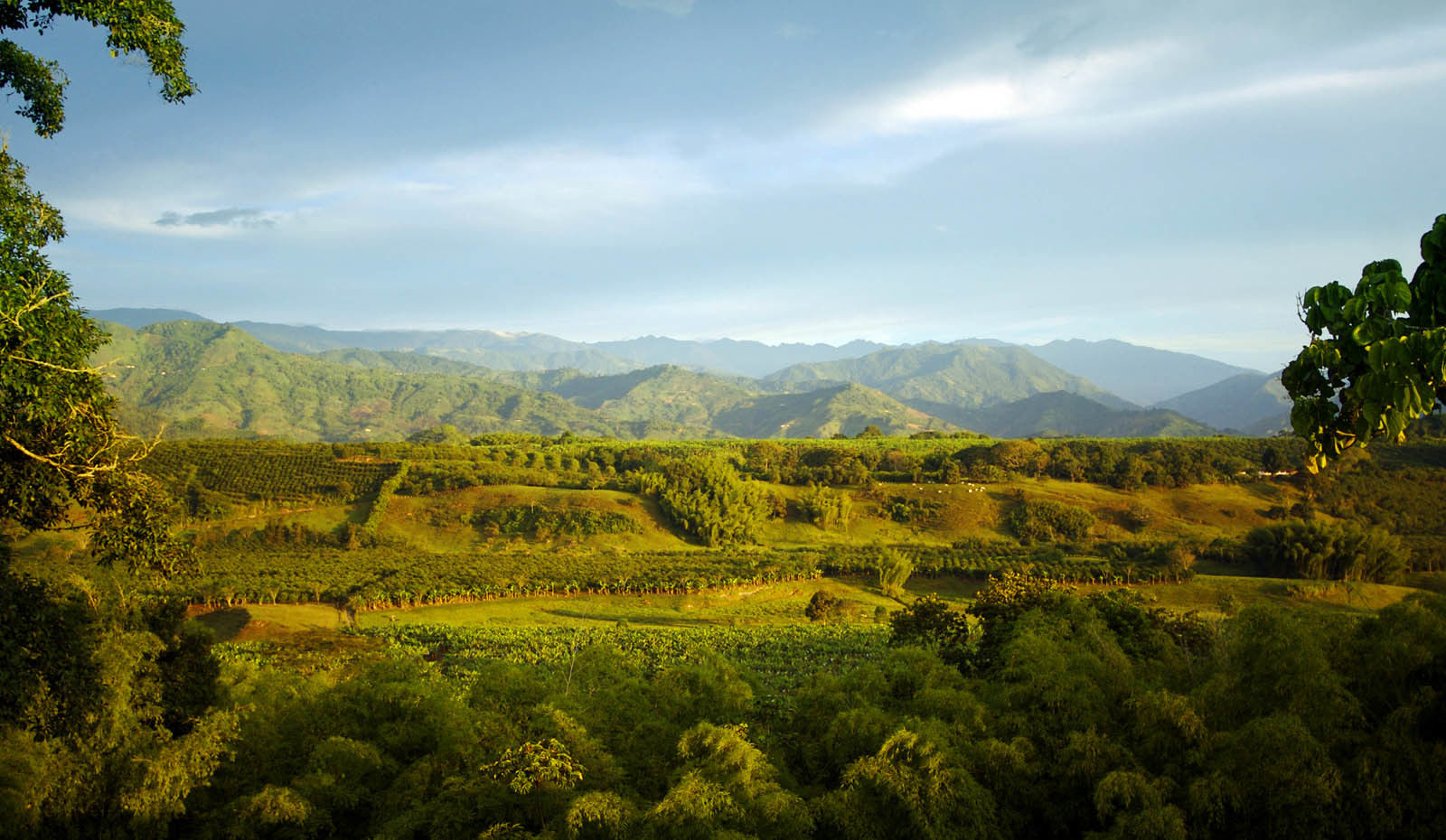 Hacienda Bambusa El Caimo Dış mekan fotoğraf